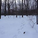 AFW Hike: Mahlon DIckerson Reservation, Jefferson, NJ on Saturday 3/7/2026