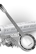 A 4 String Tenor Banjo, used in dixieland and other traditional musical genres, can be strummed with a pick or played finger style