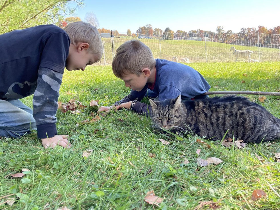 Two of our older boys at the Fall farm.