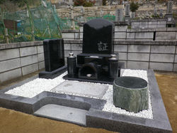 IMGP0544