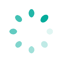 Spin_1x-1.0s-255px-255px.gif