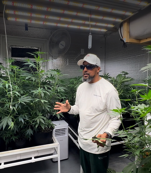 Photo of Rory Woods, Owner of Kush Kollege