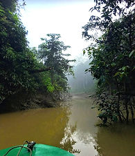 TaBu River_edited.jpg