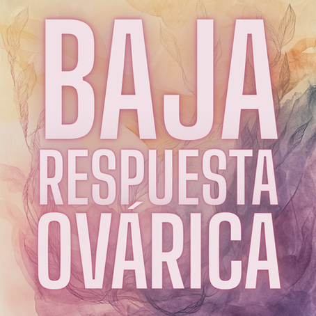 Lo que nadie te explicó sobre la baja respuesta ovárica