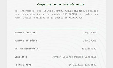 Ejemplo Boleta.jpg