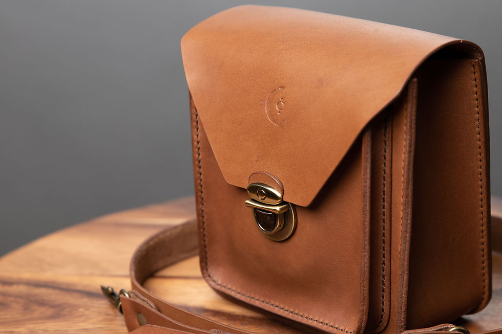 Thumbnail: The Mini Camera Bag