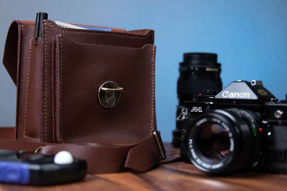 Thumbnail: The Mini Camera Bag