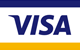 Visa Logo