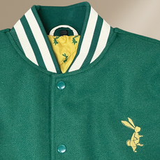 Mijentajacket_closeup.png
