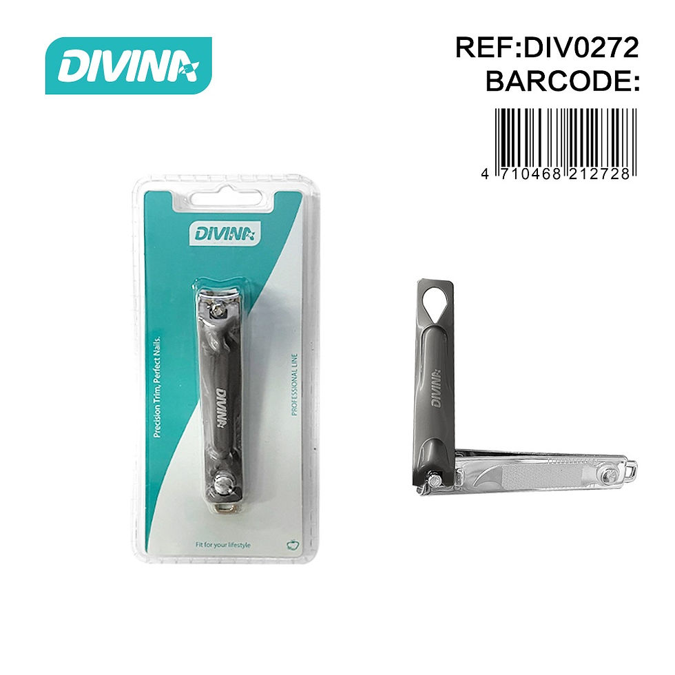 DIV0272