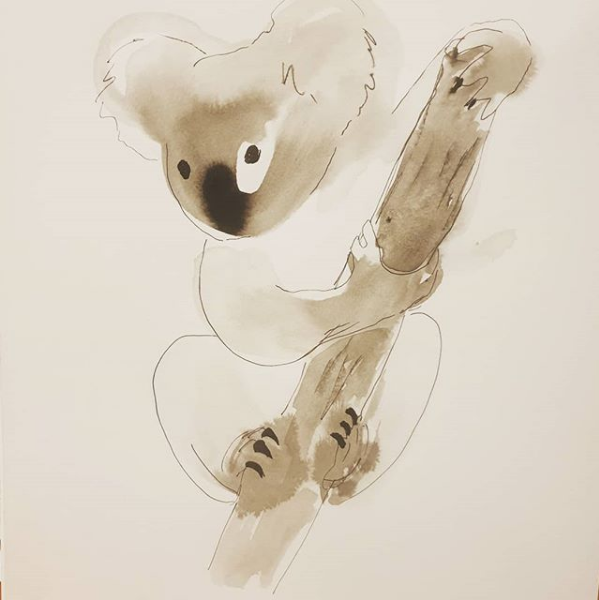 Koala