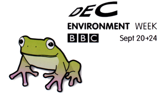 BBC DEC Environment