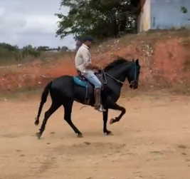 MANACÁ BRILHO DO SOL