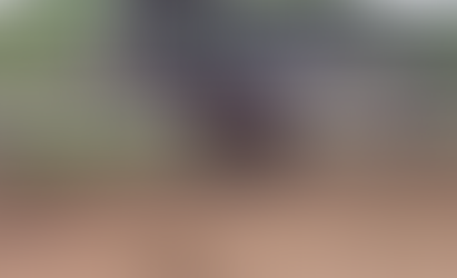 ELDORADO DO ESCURO (ARLEQUIM SERRA BELA X LINDA DO CAVALEIRO)