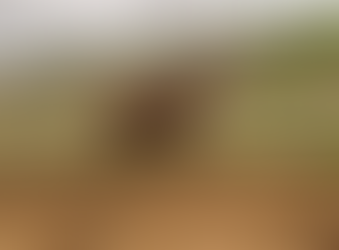 EXPLOSIVO DO ESCURO (ARLEQUIM SERRA BELA X IPANEMA DO RUC)