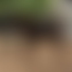 BARUK DO VALE PETROLINA