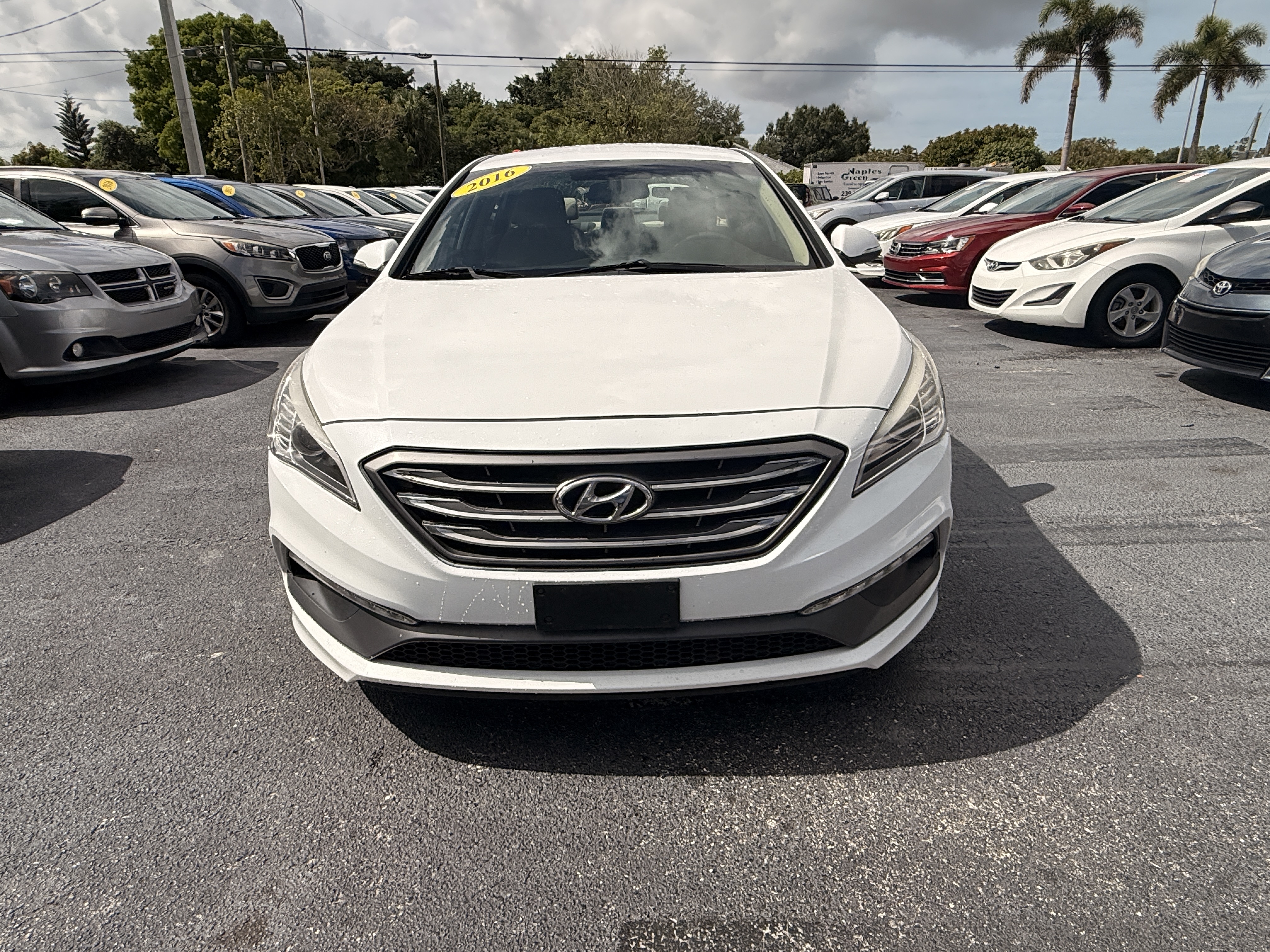 2016 Hyundai Sonata Sport PZEV's photo