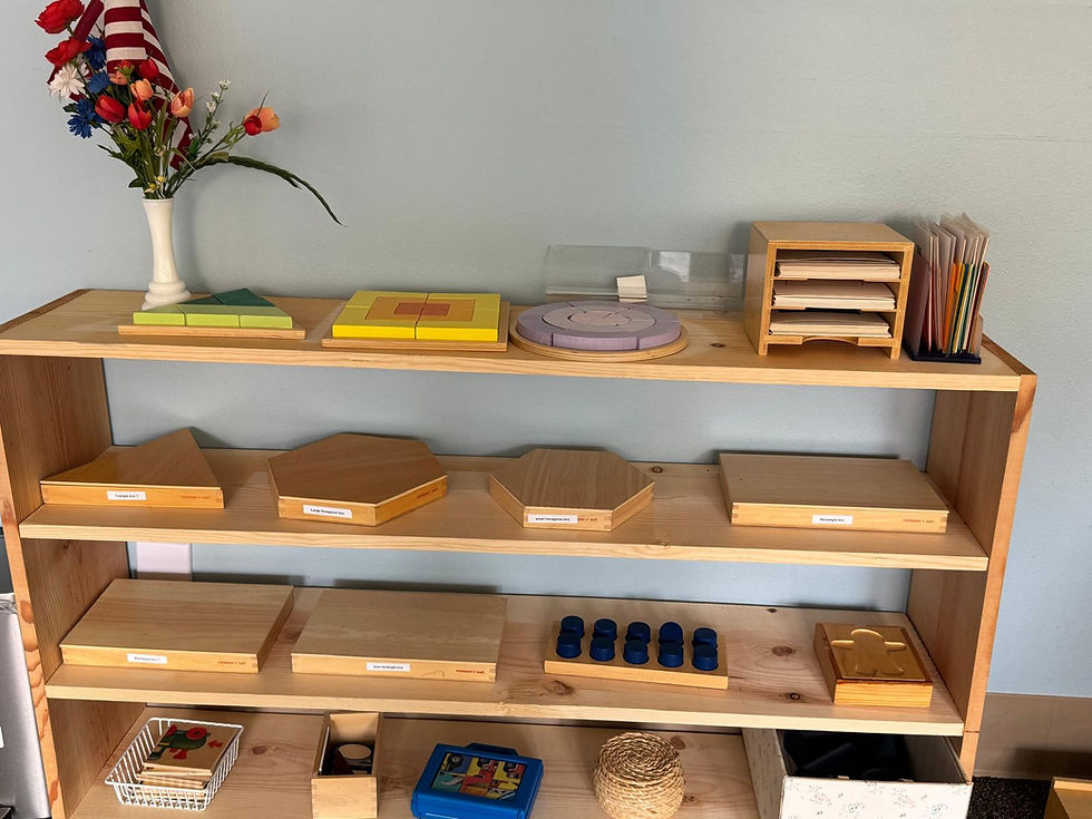 Montessori-Sensorial-2.jpeg
