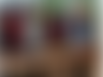 Visit from the Swiss Embassy