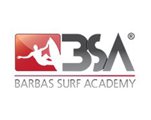 BSA - Be Surf Academy logo