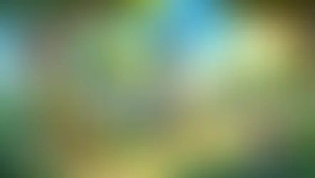 הפקת משחק "קוויזי גיים" במצב אתגרים: