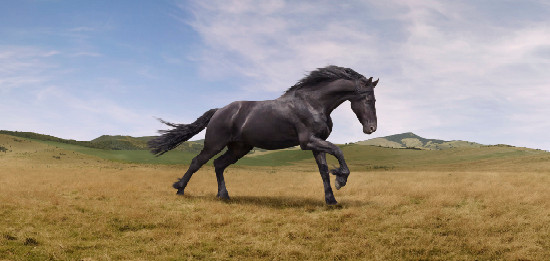 Lloyds Bank