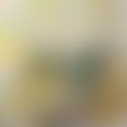 ♥ Pinterest - Juillet 2019