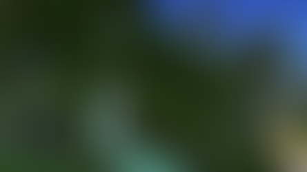 Photos en Vrac #17 - Sulani