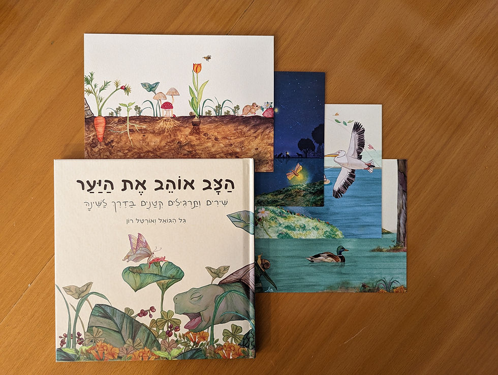 תמונה ממוזערת: ספר ורביעיית גלויות מאויירות