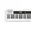 Miniatura: Teclado CASIO CT-S200-WE