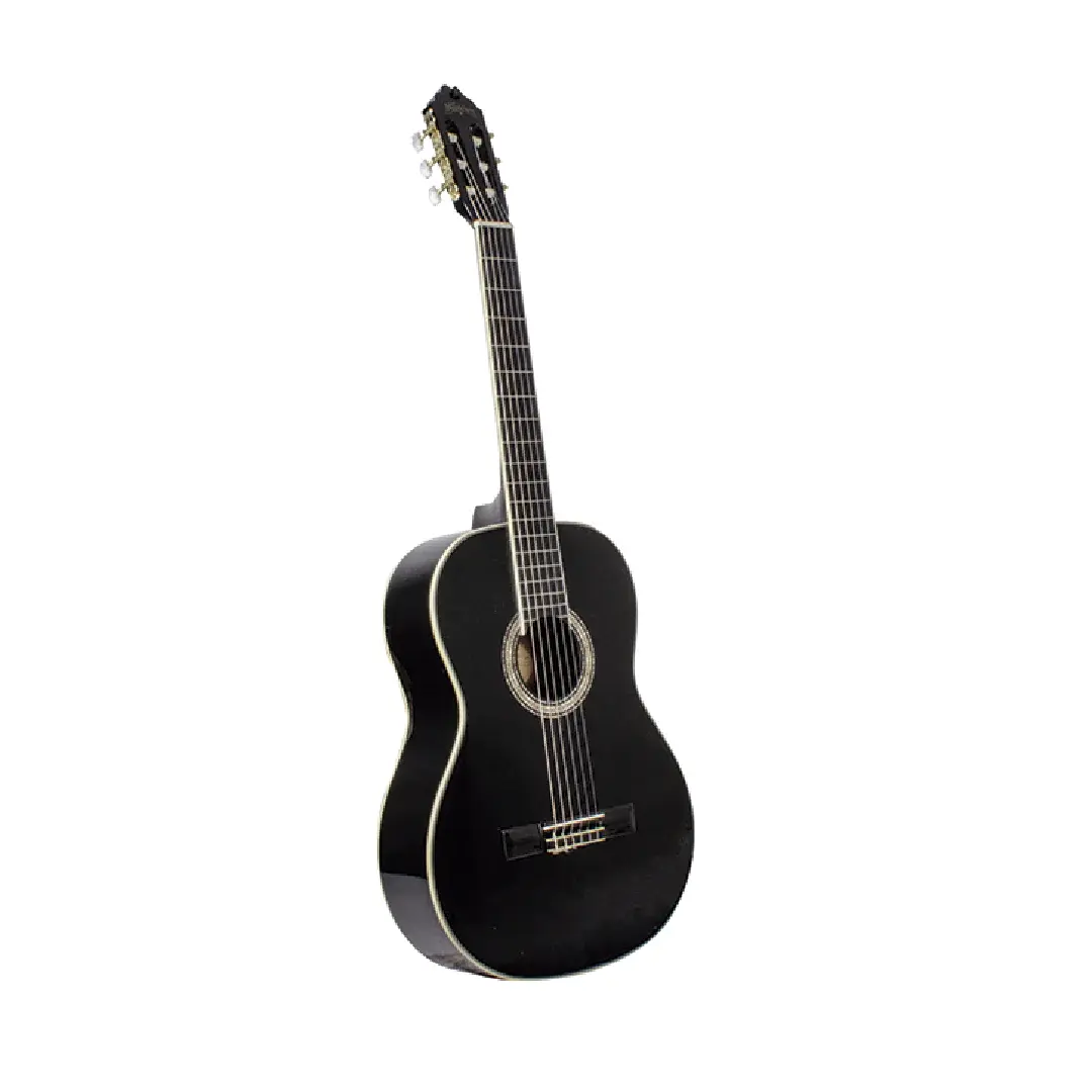 Guitarra Acústica Washburn C6B negra