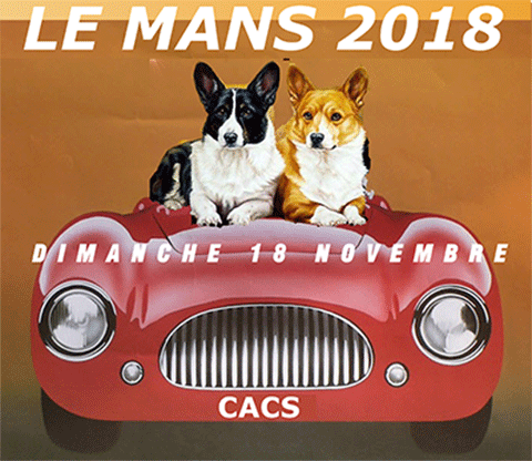 Le Mans le 18 novembre !