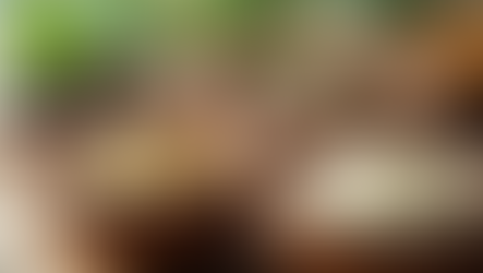 Découvrez les essentiels des soins naturels pour la peau