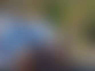 The 17th Istanbul Biennial: More on the art locations all over the city