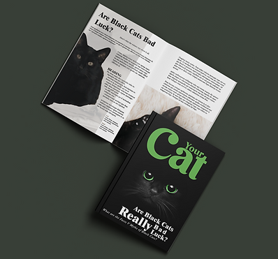 Overlapping cover and page spread.png