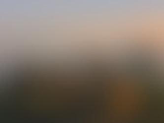 Stay Warm, Nourished, and Grounded this Autumn with Ayurveda