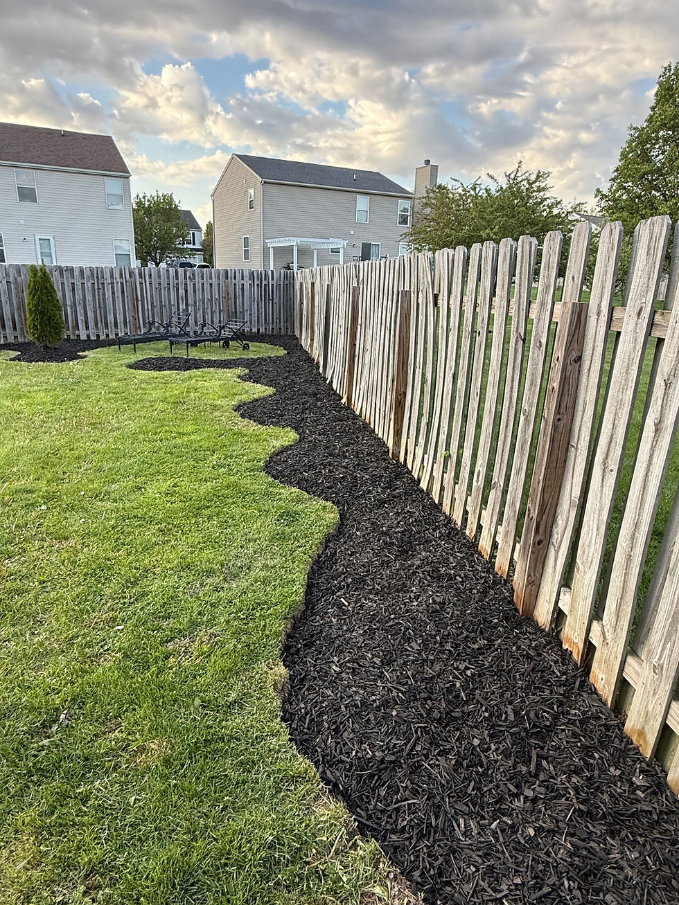 Fence pic