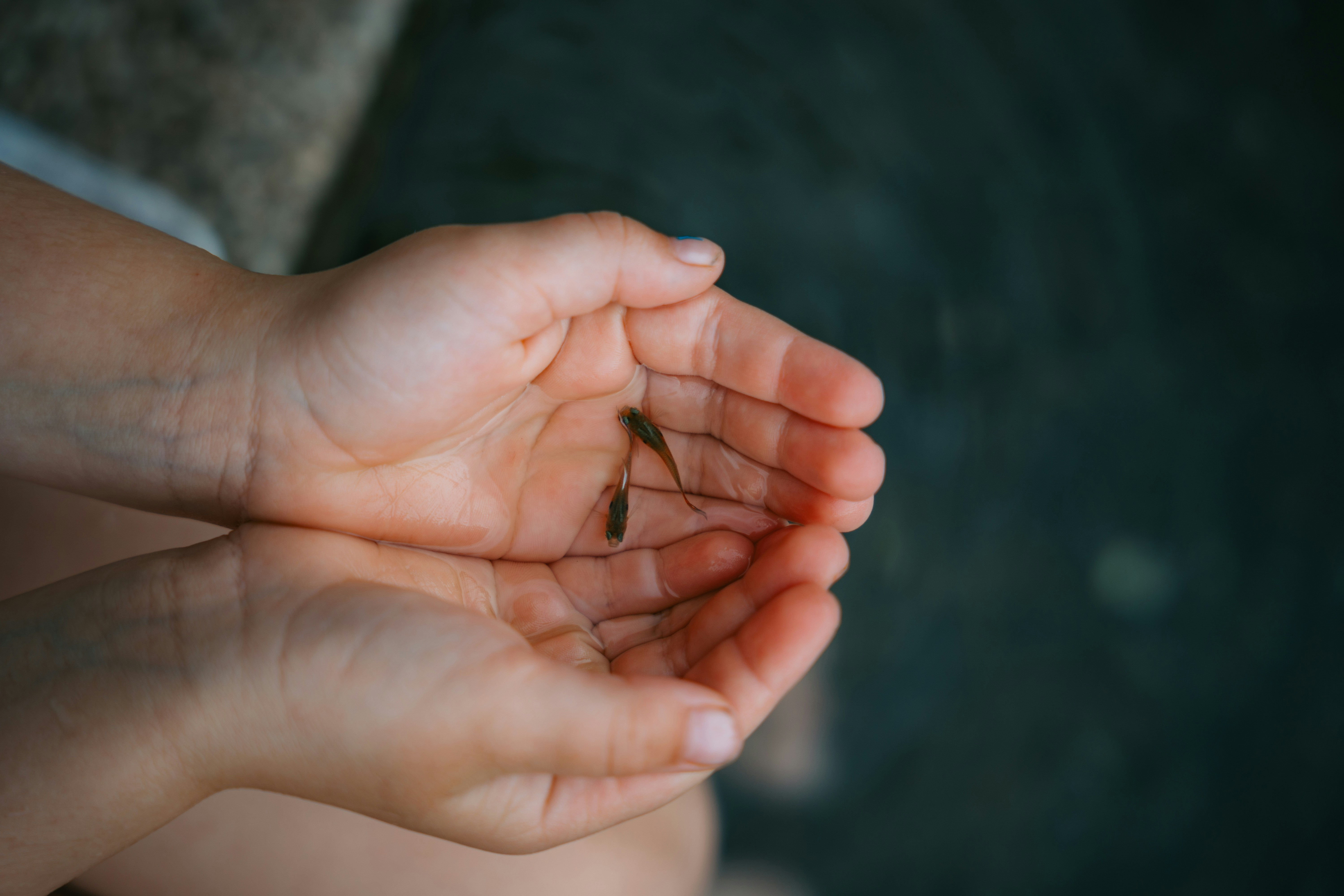 Seelenbalance - Schritt für Schritt zum Gleichgewicht
