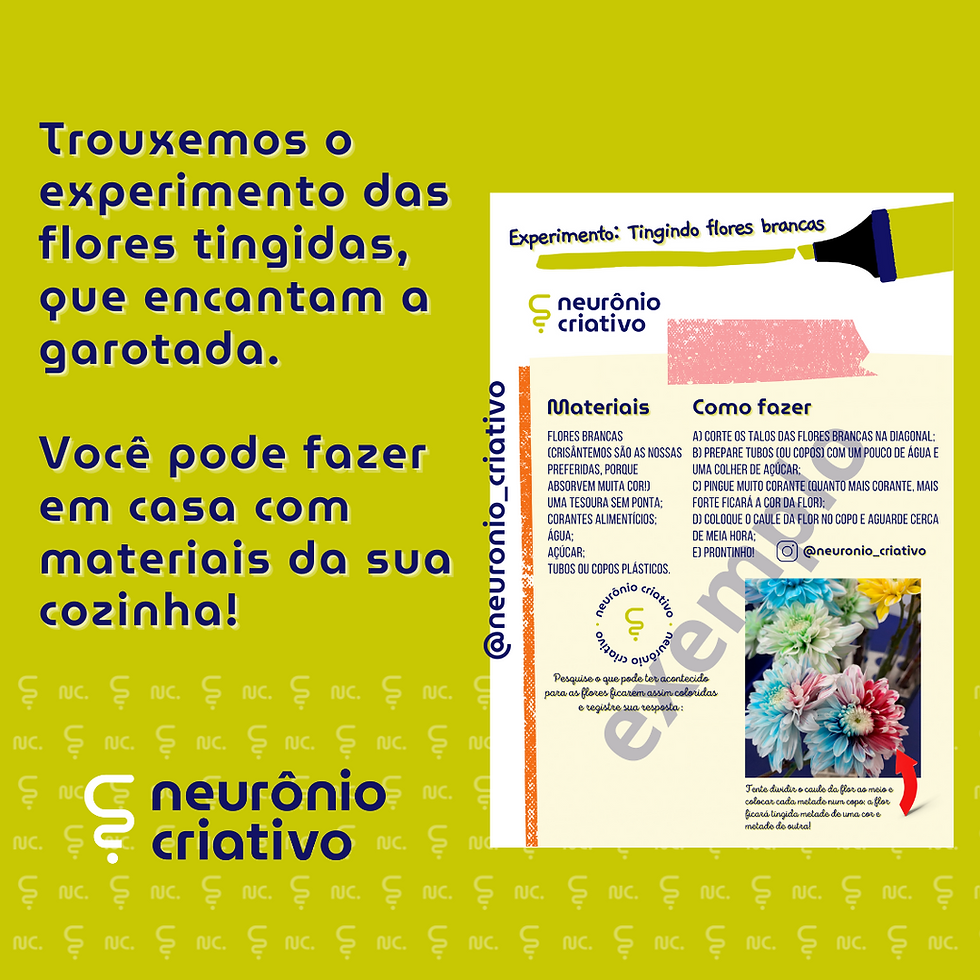 Miniatura: EXPERIMENTOS SUPER FÁCEIS E INCRÍVEIS