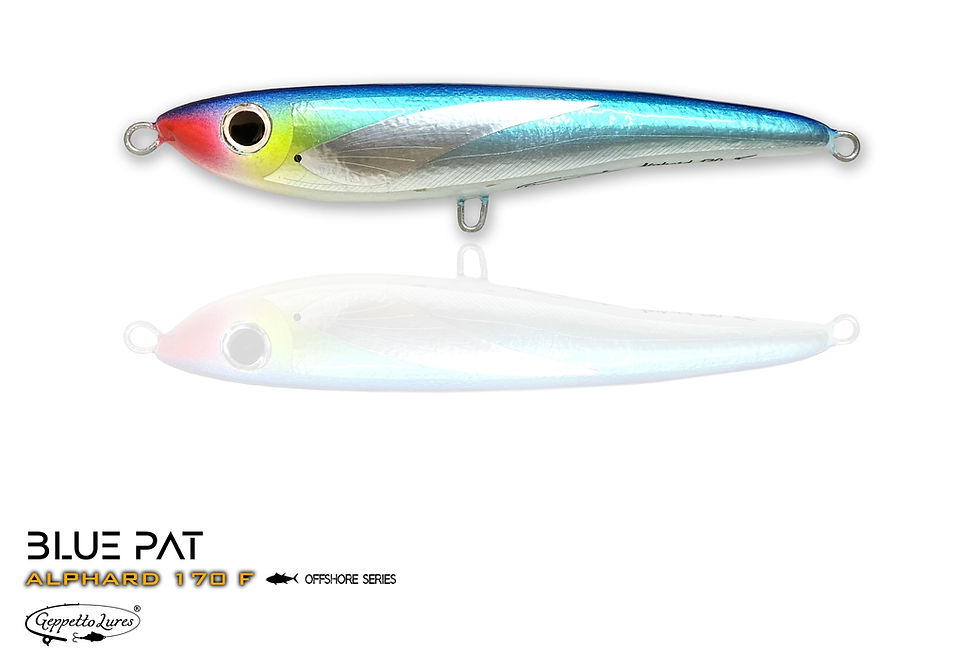 Miniatura: Alphard 170 Floating