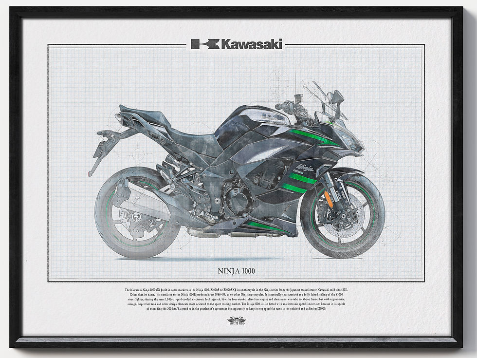 Kawasaki Ninja 1000 Green