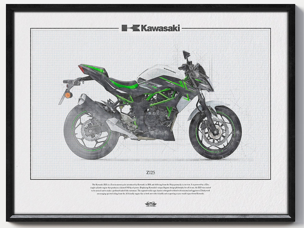 Kawasaki Z125 Stardust White