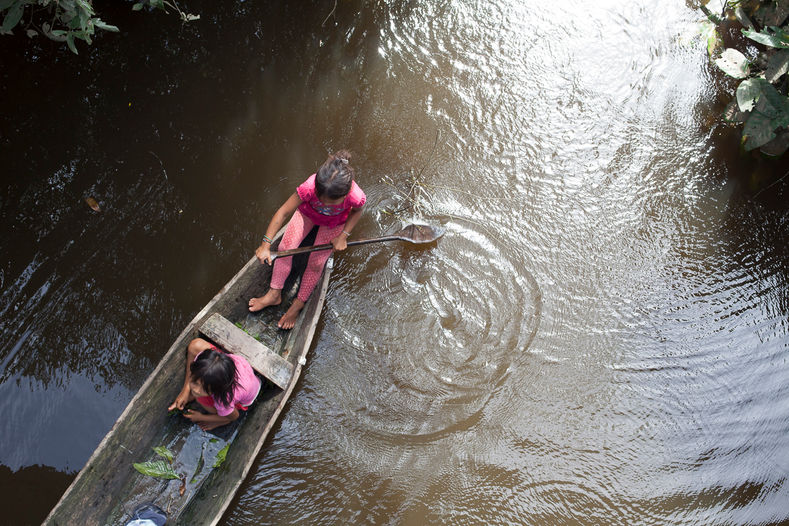 The Peruvian Amazon