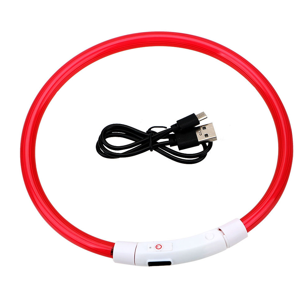 Thumbnail: Led Usb Dog Collar Pet Dog Night Luminous Charge Collar Led Night Safety Flashin
