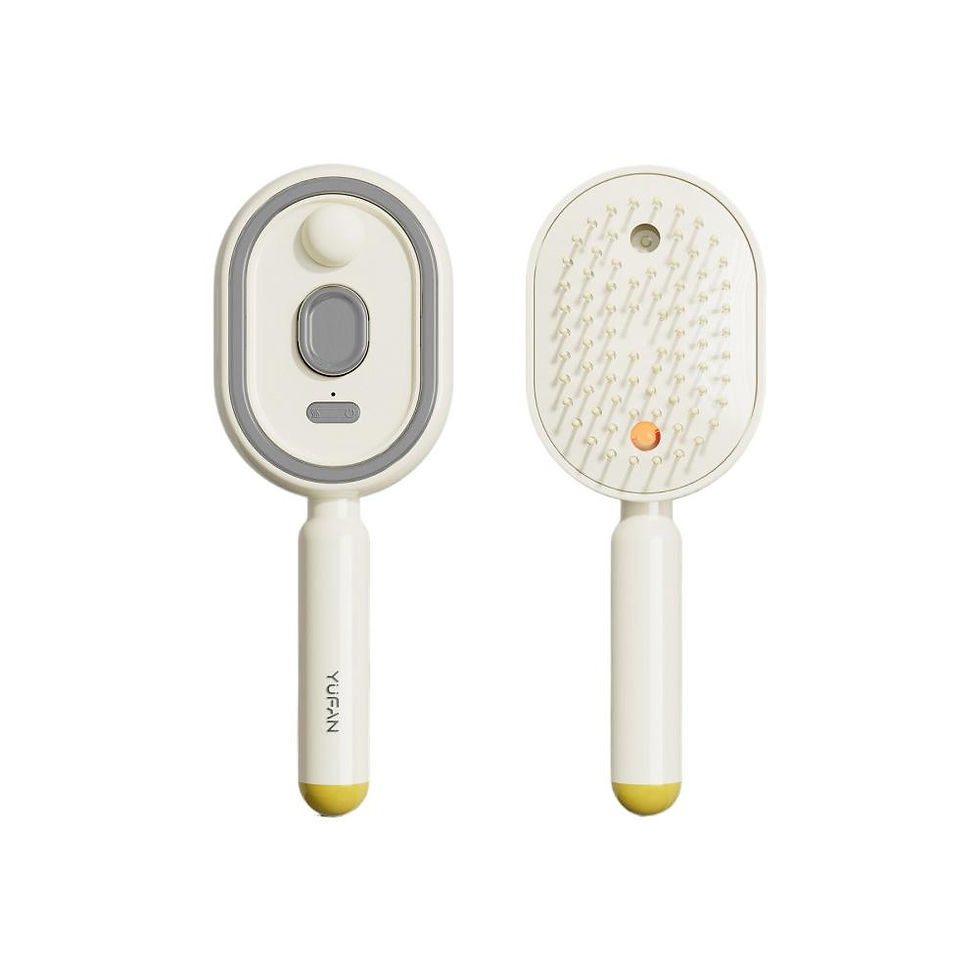 Thumbnail: Electric Spray Hair Brush with Water Spray Air Cushions Steam Massage Comb Recha