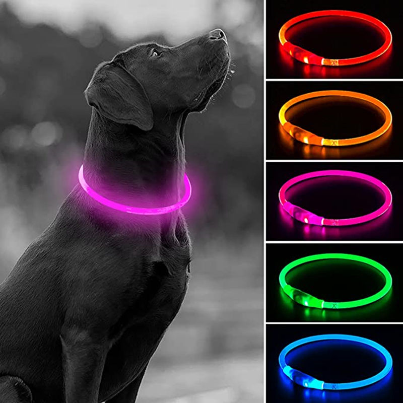 Led Usb Dog Collar Pet Dog Night Luminous Charge Collar Led Night Safety Flashin