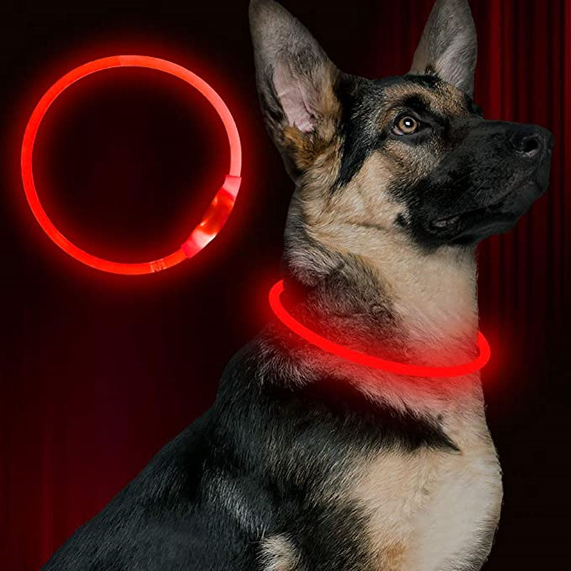 Thumbnail: Led Usb Dog Collar Pet Dog Night Luminous Charge Collar Led Night Safety Flashin