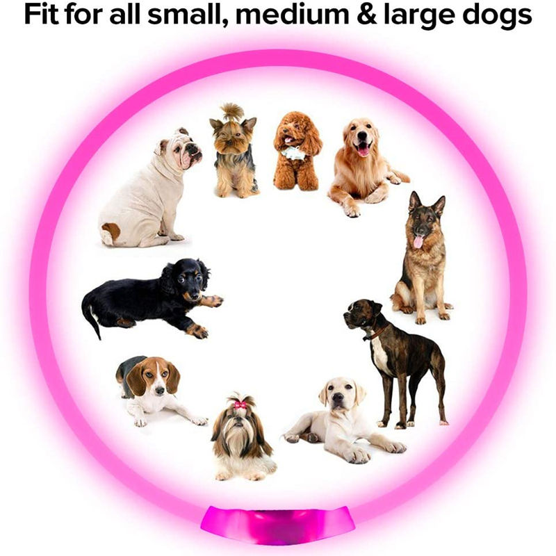 Thumbnail: Led Usb Dog Collar Pet Dog Night Luminous Charge Collar Led Night Safety Flashin