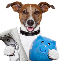 Discounts specials loyalty rewards money