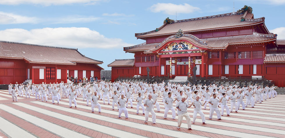 Beikoku Shidokan Karatedo Association members at Shuri Castle, Okinawa, Japan / Tookachi Celebration - Seikichi Iha Hanshi 10th Dan
